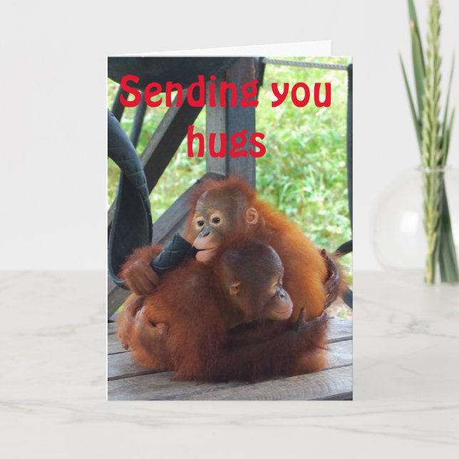 Cartes Pour Fêtes Annuelles Amour d'animal d'orang-outan d'étreinte de (Devant)