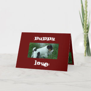 Cartes Pour Fêtes Annuelles Amour de chiot