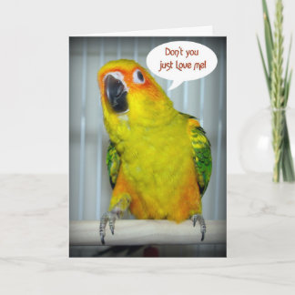 Cartes Pour Fêtes Annuelles Amour de Sun Conure