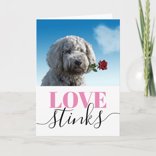 Cartes Pour Fêtes Annuelles Amour qui pue Photo drôle Saint-Valentin (Devant)