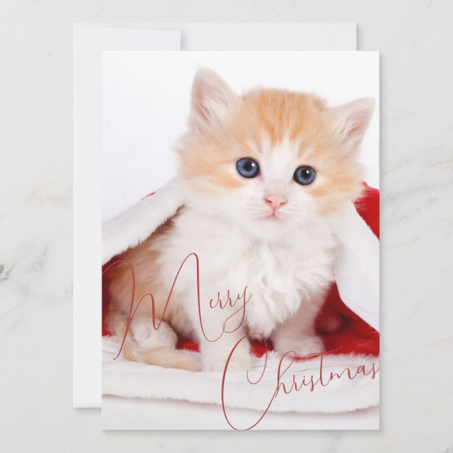 Cartes Pour Fêtes Annuelles Amoureux branchés des animaux de compagnie Joyeux  (Devant)