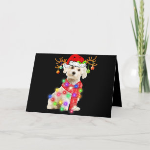 Cartes Pour Fêtes Annuelles Amoureux des chiens Chapeau de Noël maltais Lumi