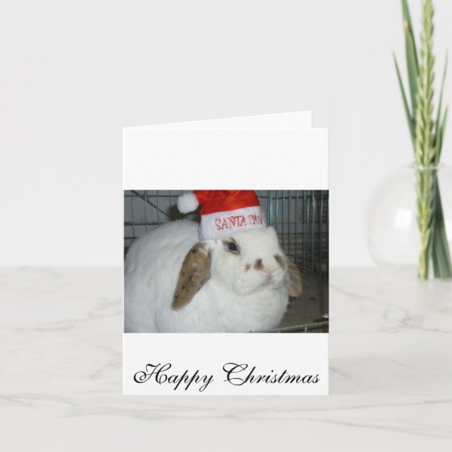 Cartes Pour Fêtes Annuelles amoureux du lapin (Devant)