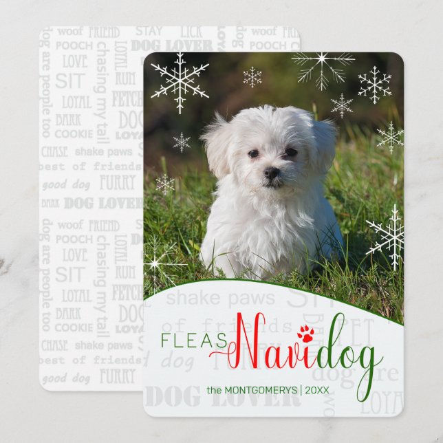 Cartes Pour Fêtes Annuelles Amusant chien Fleas NaviDOG Photo de Noël (Devant / Derrière)