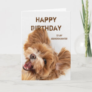 Cartes Pour Fêtes Annuelles Amusant Joyeux Anniversaire Petite-fille Chien mig