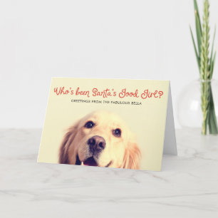 Cartes Pour Fêtes Annuelles Amusante vacances de chien de compagnie   Salutati