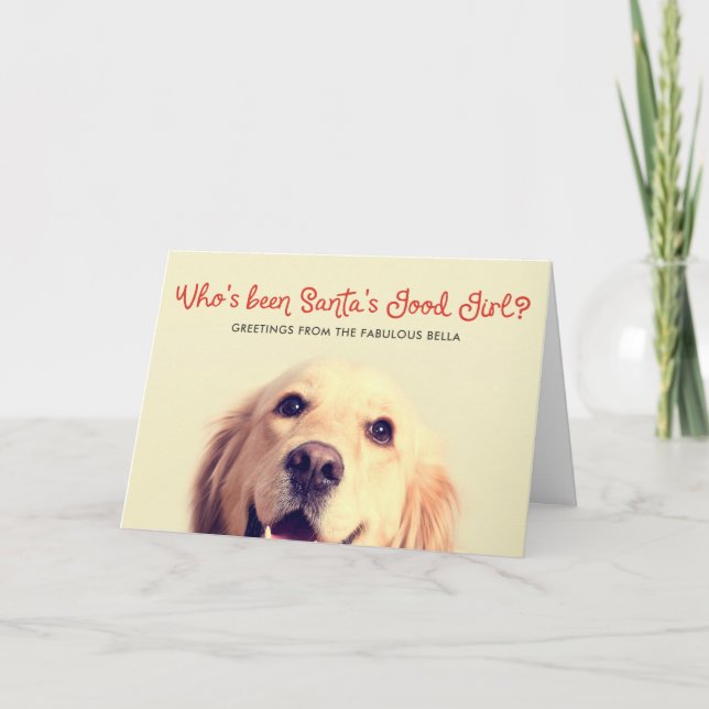 Cartes Pour Fêtes Annuelles Amusante vacances de chien de compagnie | Salutati (Devant)
