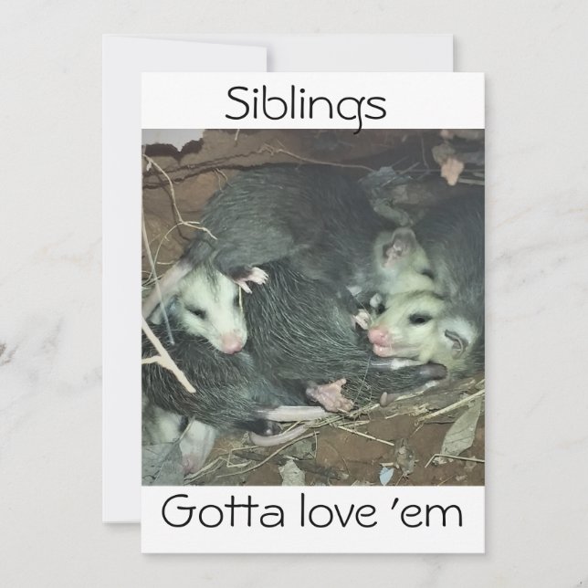 Cartes Pour Fêtes Annuelles Amusants frères Possum (Devant)