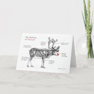 Cartes Pour Fêtes Annuelles Anatomy