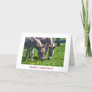 Cartes Pour Fêtes Annuelles Âne de Noël
