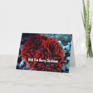 Cartes Pour Fêtes Annuelles Anémone rouge et poisson anémone