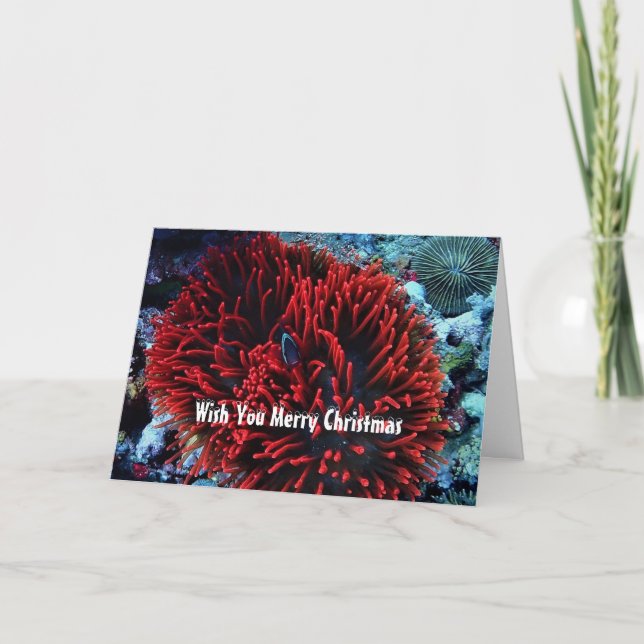 Cartes Pour Fêtes Annuelles Anémone rouge et poisson anémone (Devant)