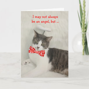 Cartes Pour Fêtes Annuelles Angel Cat Valentine
