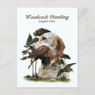 Cartes Pour Fêtes Annuelles Anglais Setter, chasse à la bécasse