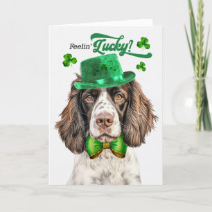 Cartes Pour Fêtes Annuelles Anglais Springer Dog Lucky St Patrick's Day