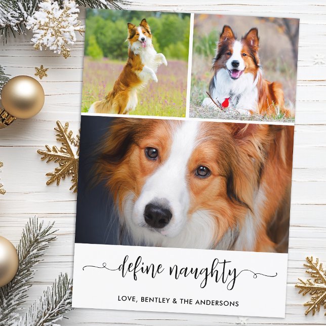 Cartes Pour Fêtes Annuelles Animaux de compagnie Définir Chien coquin Photo Co (Créateur téléchargé)