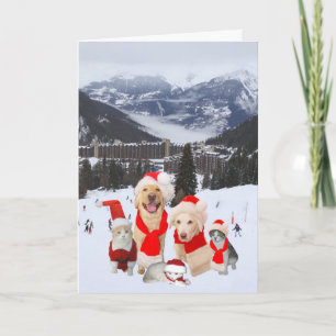 Cartes Pour Fêtes Annuelles Animaux de compagnie Funny personnalisables dans l