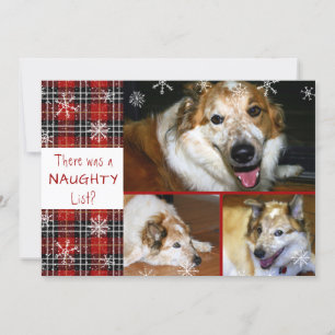 Cartes Pour Fêtes Annuelles Animaux de compagnie Naughty ou Nice Snowflake Pla