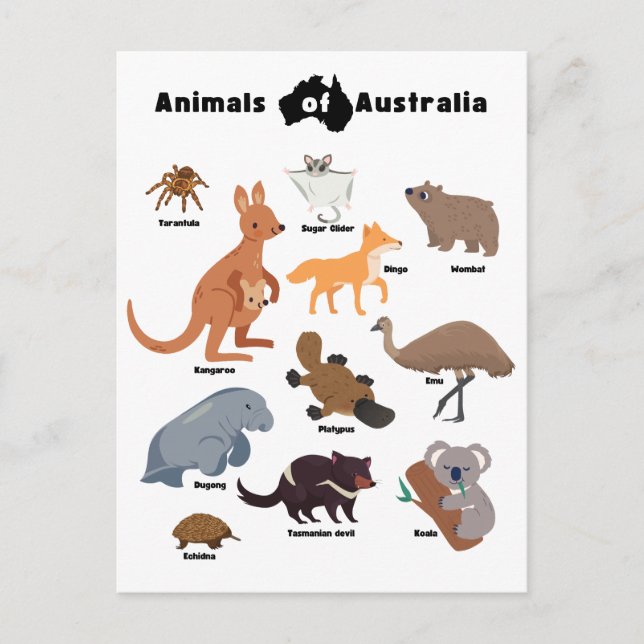 Cartes Pour Fêtes Annuelles Animaux de l'Australie faune australienne (Devant)