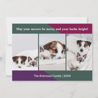 Cartes Pour Fêtes Annuelles Animaux de Noël amusants et festifs Photos personn