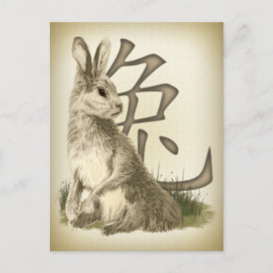 Cartes Pour Fêtes Annuelles Année Du Nouvel An Chinois Du Lapin