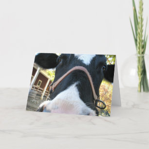 Cartes Pour Fêtes Annuelles Année heureuse de MOO