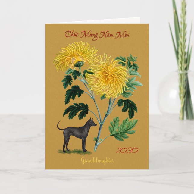 Cartes Pour Fêtes Annuelles Année vietnamienne de petite-fille nouvelle du (Devant)