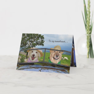 Cartes Pour Fêtes Annuelles Anniversaire des chiens drôles