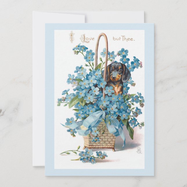 Cartes Pour Fêtes Annuelles Antique Valentine Oubliez-moi Nots et Dachsund (Devant)