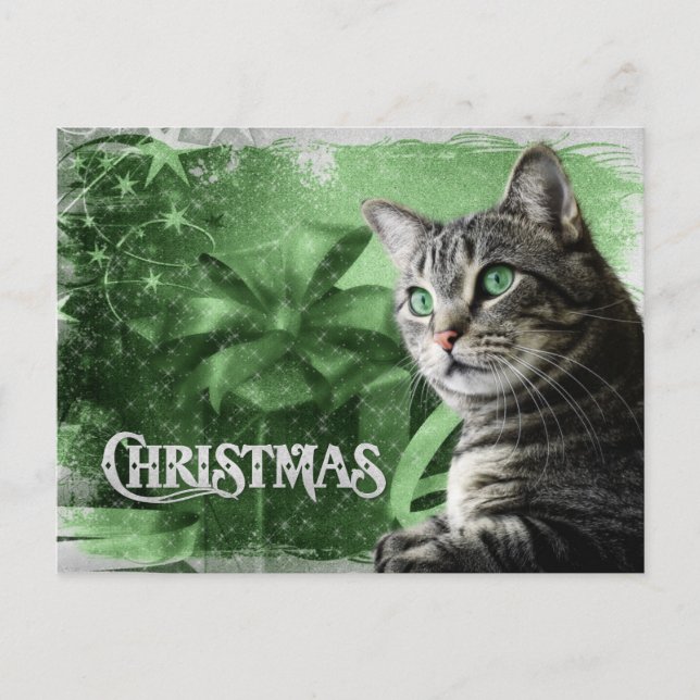 Cartes Pour Fêtes Annuelles APAL - Tabby en argent de Noël (Devant)