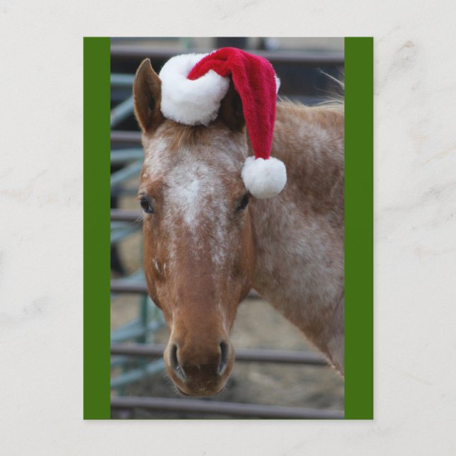 Cartes Pour Fêtes Annuelles Appaloosa rouge avec chapeau de Santa (Devant)