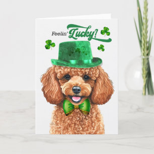 Cartes Pour Fêtes Annuelles Apricot Poodle Dog Feelin' Lucky St Patrick's Day