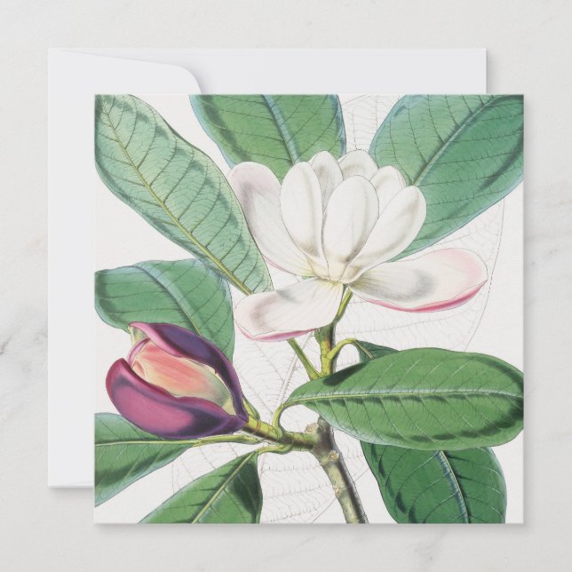 Cartes Pour Fêtes Annuelles Aquarelle Botanique Blanc Magnolia & Feuilles vert (Devant)