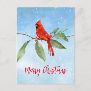 Cartes Pour Fêtes Annuelles Aquarelle de Noël Bleu Vert Rouge Cardinal Oiseau