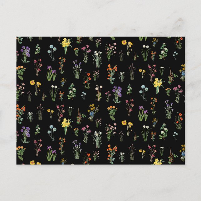 Cartes Pour Fêtes Annuelles Aquarelle fleur sauvage Floral botanique noir (Devant)