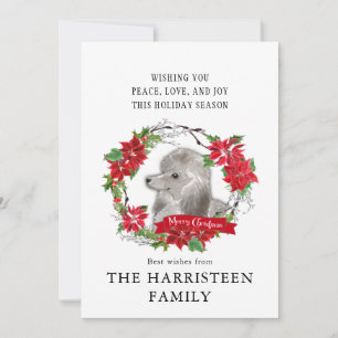 Cartes Pour Fêtes Annuelles Aquarelle gris caniche Poinsettia Noël