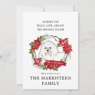 Cartes Pour Fêtes Annuelles Aquarelle maltaise Poinsettia Noël