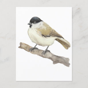 Cartes Pour Fêtes Annuelles Aquarelle Marsh Tit