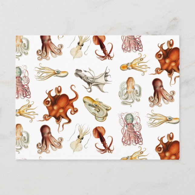 Cartes Pour Fêtes Annuelles Aquarelle Octopus Cephalopod Océan Animaux (Devant)