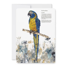 Aquarelles de Macaw à couche bleue en voie de disp