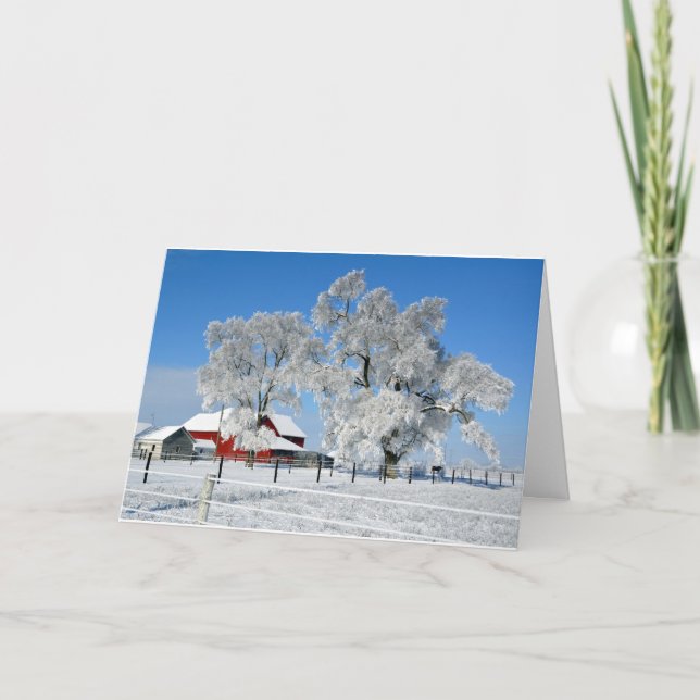 Cartes Pour Fêtes Annuelles Arbre amish de glace de ferme (Devant)