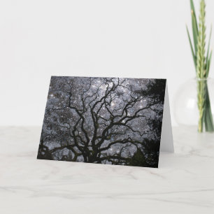 Cartes Pour Fêtes Annuelles Arbre cosmique - groupe d'étoile