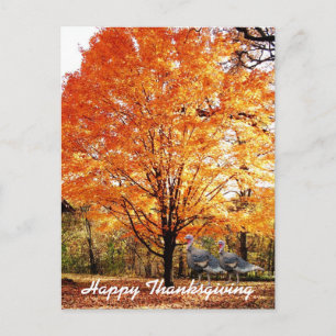 Cartes Pour Fêtes Annuelles Arbre d'Automne de Thanksgiving avec Dindon Sauvag