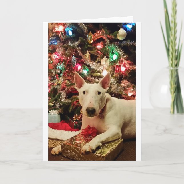 Cartes Pour Fêtes Annuelles arbre de cadeau de Noël de bull-terrier (Devant)