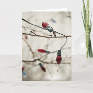Cartes Pour Fêtes Annuelles Arbre de Noël extérieur