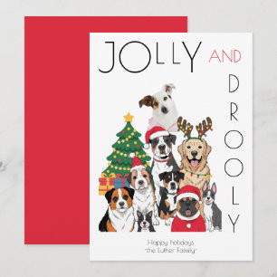Cartes Pour Fêtes Annuelles Arbre de Noël Photo Drôle d'animal de compagnie