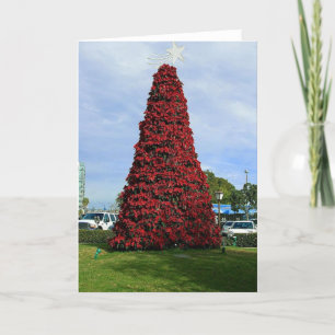 Cartes Pour Fêtes Annuelles Arbre de poinsettia de Noël à San Diego