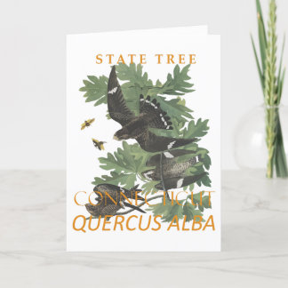Cartes Pour Fêtes Annuelles Arbre du territoire du Connecticut Le chêne de la 