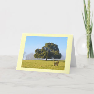 Cartes Pour Fêtes Annuelles Arbre sous le soleil d'hiver