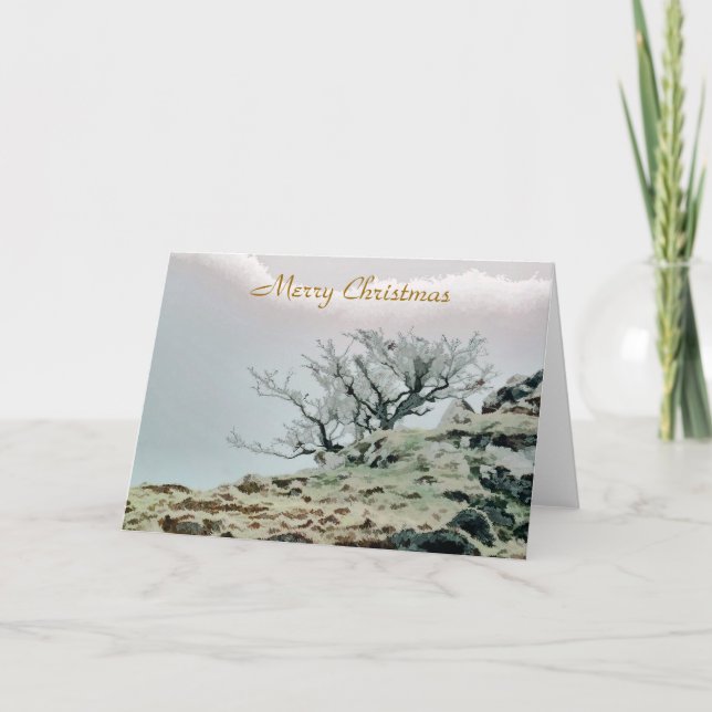 CARTES POUR FÊTES ANNUELLES ARBRES (Devant)